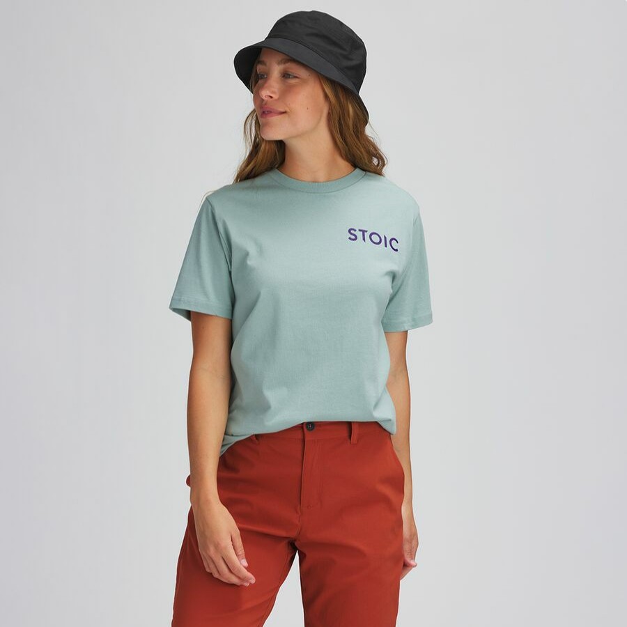 Men'S Clothing * | Outlet Stoic Grand Canyon Graphic T-Shirt Seafoam